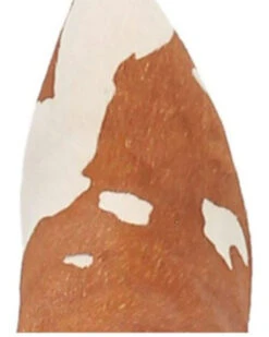 Dingo Women's Mane Tamer Fashion Booties - Pointed Toe 14 Dingo Women's Mane Tamer Fashion Booties - Pointed Toe -Deals ROPER Store 2000344410 280 P6